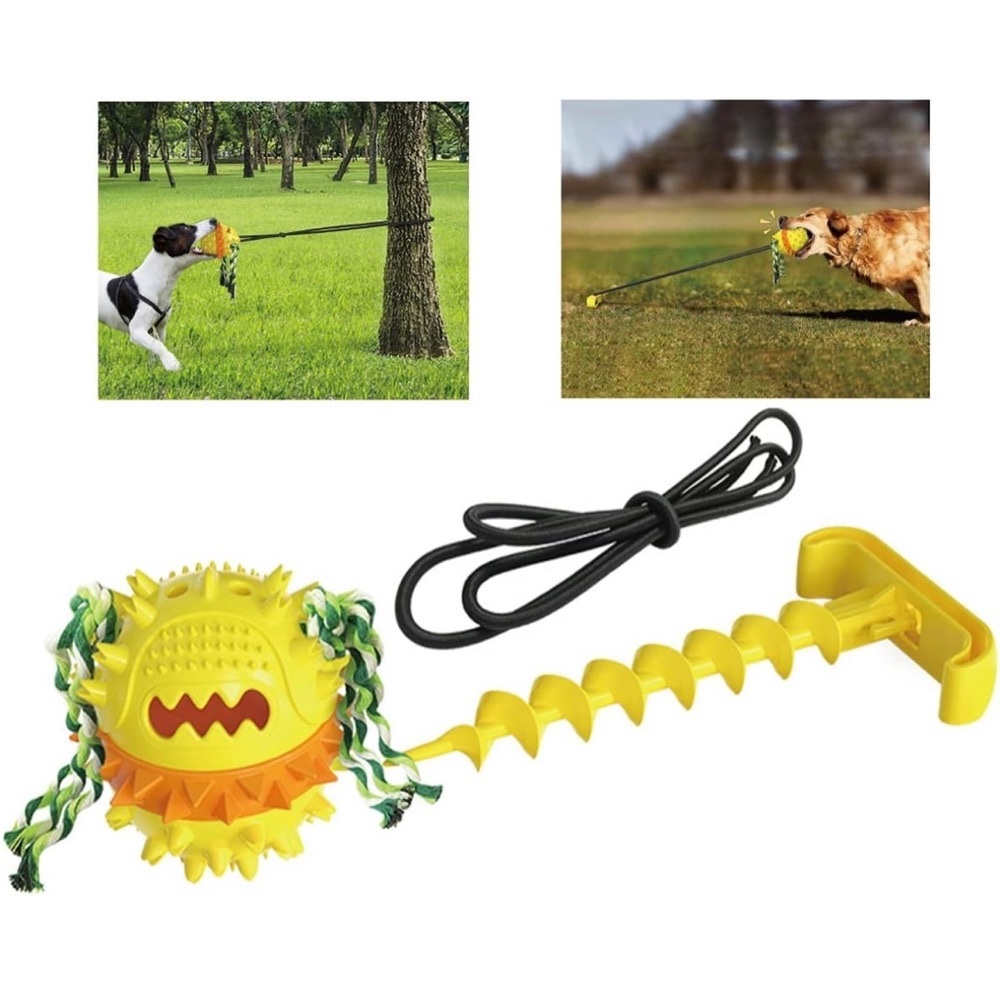 Tether Tug Outdoor Dog Toy Squeaky Jolly Egg